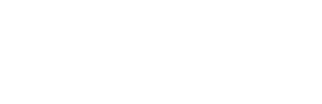Optical Fiber Bundles